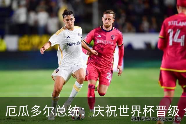 厄瓜多尔总统：庆祝世界杯晋级 全国放假一天