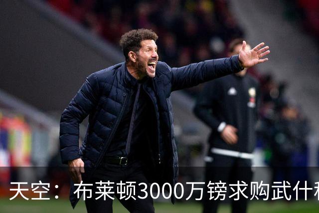 天空：布莱顿3000万镑求购武什科维奇，预计热刺对其估值超6000万